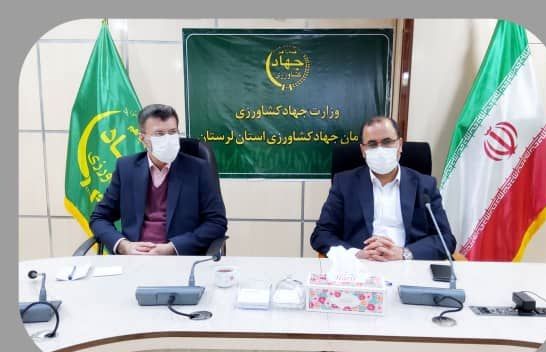 کشت ۱۷۶ هزار هکتار گندم در اجرای طرح جهش تولید در دیمزارهای  لرستان