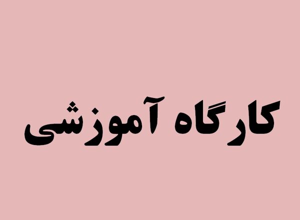 کارگاه آموزشی آشنایی با ماشینهای اماده سازی زمین کشاورزی در شهرستان ریگان برگزار شد