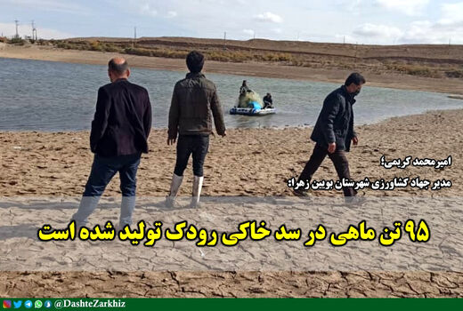۹۵ تن ماهی در سد رودک بویین زهرا تولید شده است
