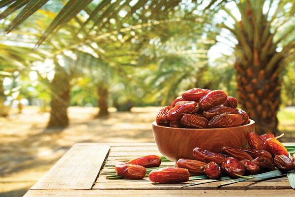خرمای ایران، طلای گرمسیری/ راهکارهای علمی مسیر صادرات را هموار می‌کند