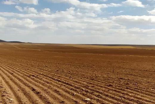 صدور اسناد تجمیعی برای ۱۱۸ قطعه از اراضی کشاورزی شهرستان آوج