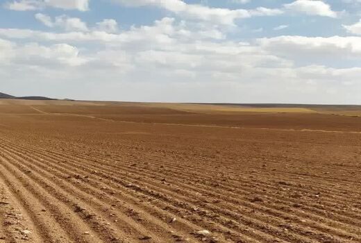 صدور اسناد تجمیعی برای ۱۱۸ قطعه از اراضی کشاورزی شهرستان آوج