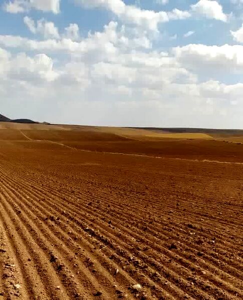 صدور اسناد تجمیعی برای ۱۱۸ قطعه از اراضی کشاورزی شهرستان آوج