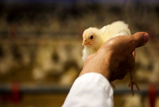  به کشاورزی قرن 21 خوش آمدید