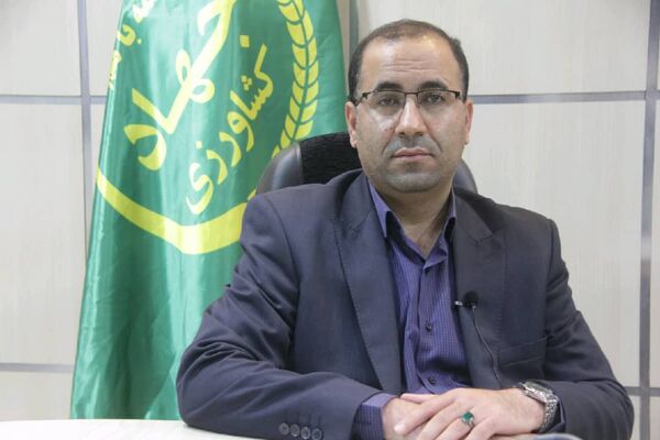 صدور پیام رییس سازمان جهاد کشاورزی لرستان به مناسبت هفته بسیج 