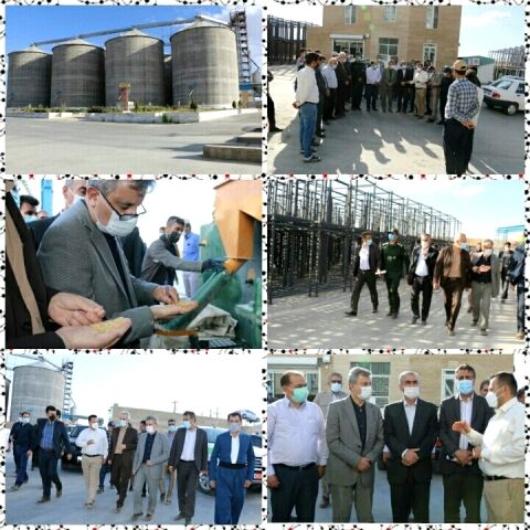 بازدید از شرکت تولید بذر مائده توسط سرپرست معاونت زراعت وزارت جهاد کشاورزی