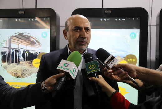 ۹۸ درصد از بذر مورد نیاز کشور در داخل تولید می‌شود