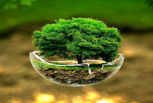 حفاظت از خاک پیش‌نیاز توسعه پایدار سرزمین و افزایش تولید است