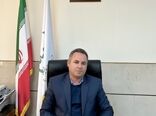اجرای طرح تولید قراردادی گوشت مرغ در استان فارس آغاز شد