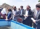 اهمیت حفظ برند خاویار ایرانی در کنار بازسازی ذخایر