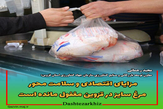 مزایای اقتصادی و سلامت محور مرغ سایز در قزوین مغفول مانده است