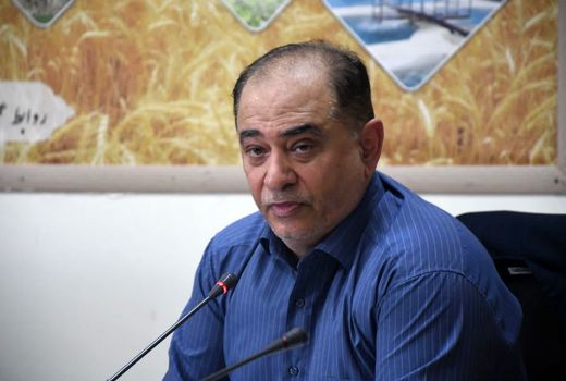 امسال نیازی به واردات گندم نخواهیم داشت 