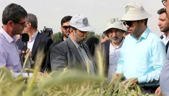 بازدید سرپرست وزارت جهاد کشاورزی از زیر مجموعه‌های تحقیقاتی سازمان تات