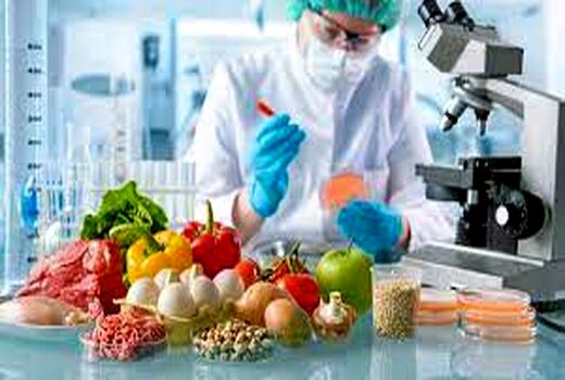 انتقال فناوری اسپانیایی به ایران برای ارتقای کیفیت محصولات غلات
