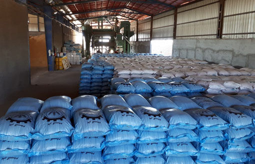 تولید سالانه 10 هزار تن بذر گندم و جو توسط 5 مرکز شبکه تعاون روستایی آذربایجان شرقی