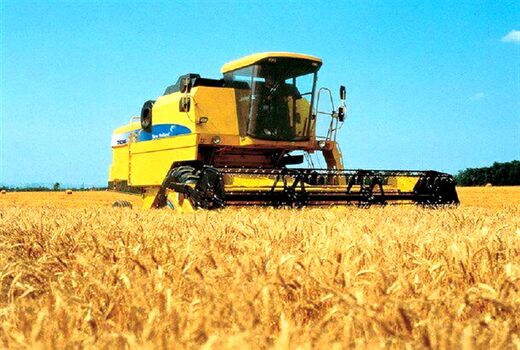 تاکنون بیش از 107 هزار تن گندم از کشاورزان استان بوشهر خریداری شده است