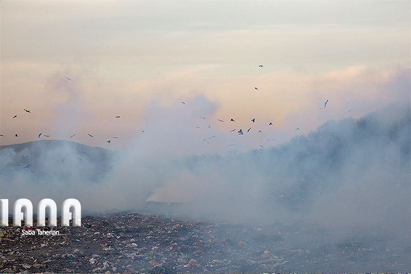 زباله دانی به وسعت یک جنگل