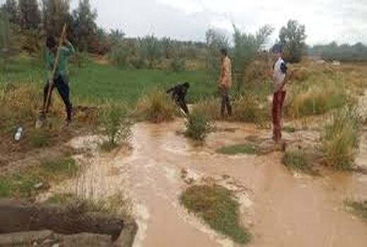 خسارت سیل به بخش کشاورزی مناطق شهداد و گلبافت