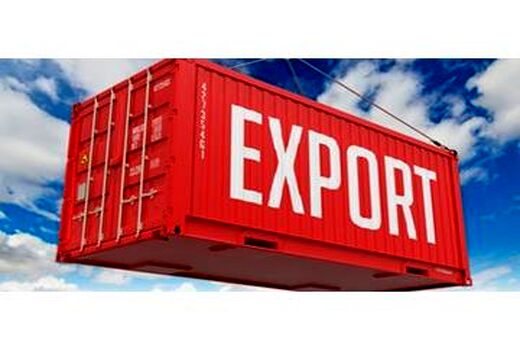 صادرات 2600 تنی کیوی از نوشهر به خارج از کشور/ افزایش 36 درصدی