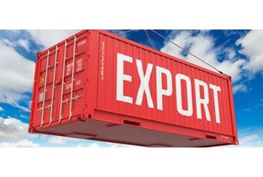 صادرات 2600 تنی کیوی از نوشهر به خارج از کشور/ افزایش 36 درصدی