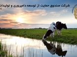 پنج همت اعتبار به صندوق توسعه دامپروری تخصیص می‌یابد