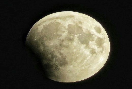 طولانی‌ترین 