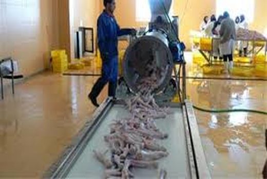 صدور مجوز 9 فقره طرح صنعتی کشاورزی در خوزستان