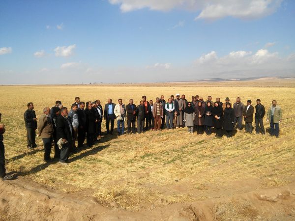 برگزاری کارگاه آموزشی کشاورزی حفاظتی شهرستان سربیشه