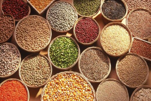 تنوع رقم پنج محصول اساسی در فهرست ملی ارقام گیاهی چگونه است؟