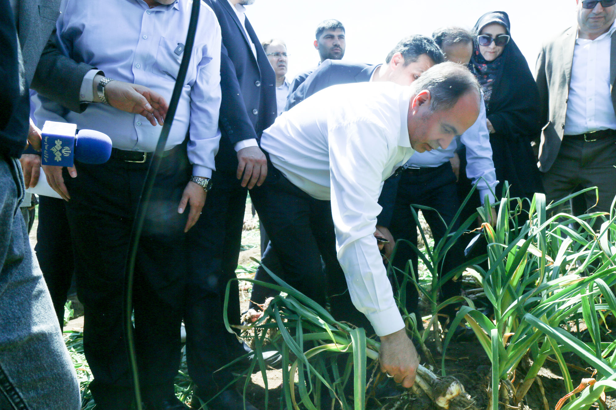  سفر وزیر جهاد کشاورزی به اردبیل 