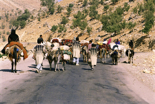  نمایش زندگی عشایر چهارمحال و بختیاری در قاب تصویر عکاسان