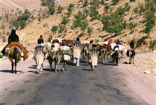  نمایش زندگی عشایر چهارمحال و بختیاری در قاب تصویر عکاسان
