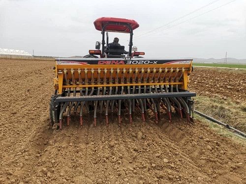 کاشت پیاز بهاره در سپیدان آغاز شد