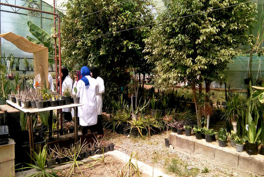 ۷۰درصد فارغ التحصیلان فنی و حرفه‌ای کارآفرین می‌شوند