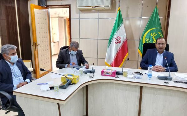 ارتزاق ۶۰۰ هزار نفر از جمعیت استان لرستان از بخش کشاورزی و دامپروری
