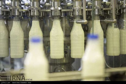 ظرفیت تولید سالانه شیر خام در استان دویست و شصت هزار تن است