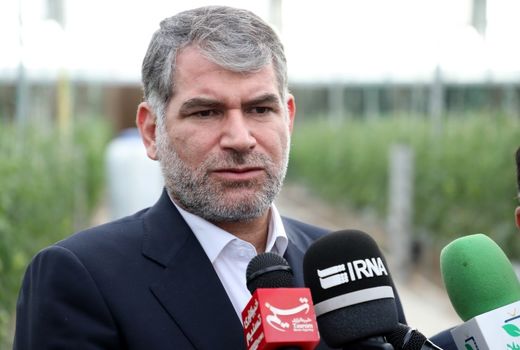 خرید تضمینی دام در استان سمنان سرعت می گیرد