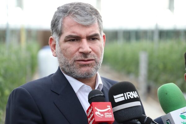 خرید تضمینی دام در استان سمنان سرعت می گیرد