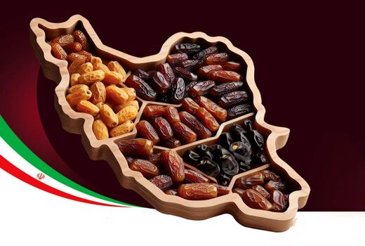 صادرات خرمای ایران از خام‌فروشی به فرآوری تغییر مسیر دهد