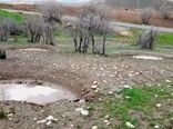 تغییر نگاه از کم‌بارانی به مدیریت بارش/ راهکارهای کم‌هزینه استحصال آب برای تقویت کشاورزی خوزستان