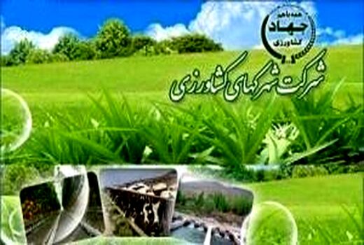 فراخوان عمومی دعوت از متقاضیان حقیقی و حقوقی سرمایه گذار در شهرک گلخانه ای درشک سلماس و مهلذان خوی