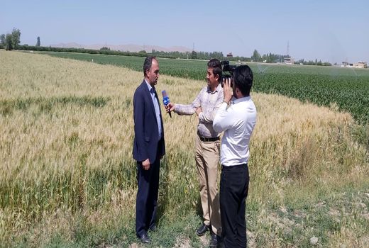 اجرای آبیاری‌ نوین در میاندوآب موجب صرفه‌جویی ۴۰ میلیون مترمکعبی آب شد 