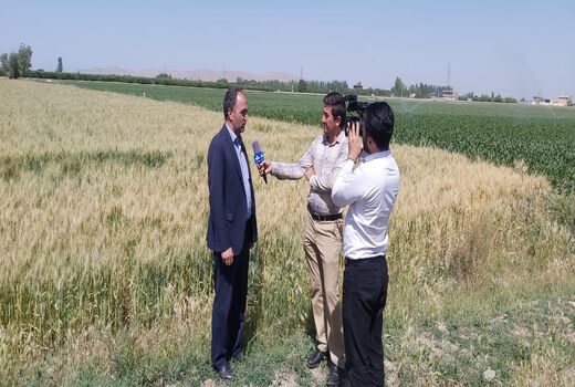 اجرای آبیاری‌ نوین در میاندوآب موجب صرفه‌جویی ۴۰ میلیون مترمکعبی آب شد 