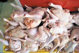 قیمت مرغ گرم چهار شنبه 12 دی 97