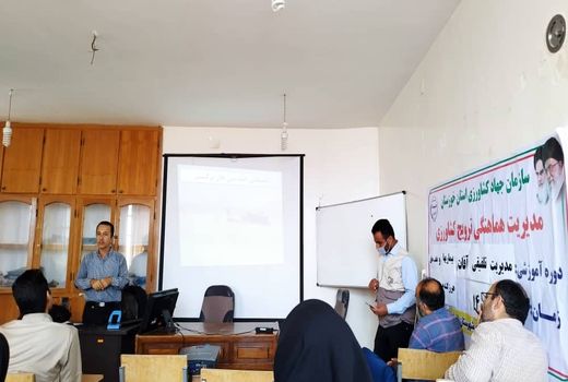 شناسایی و مبارزه با علفهای هرز گندم و کلزا در رامشیر