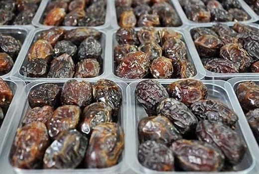 ظرفیت سردخانه‌های خرما در استان بوشهر ۳.۵ برابر شد