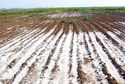 حل بحران کم‌آبی به کمک منابع آبی شور