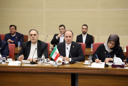 همکاری کشاورزی ایران و ترکیه برکات منطقه‌ای دارد / لزوم تبادل تجارب مدیریت مصرف آب 