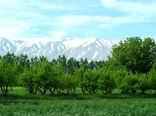 نهاوند در مسیر توسعه کشاورزی است