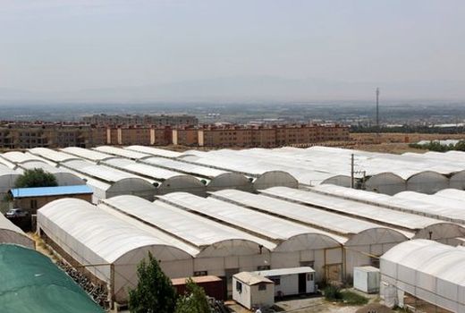 ساخت سازه و بهره برداری از 5500 هکتار شهرک‌های کشاورزی در شش سال اخیر